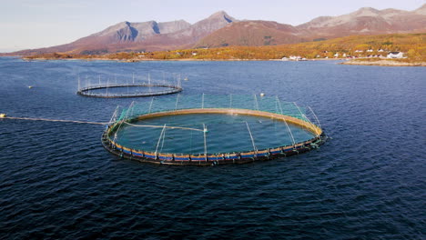 Salmon-Aquaculture-In-Norway---Aerial-View-Of-Round-Fish-Cages-For-Salmon-Industry