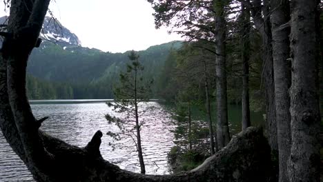 Bosque-Cerca-Del-Lago-De-Montaña,-Con-Algo-De-Nieve-En-La-Cima-De-Una-Colina