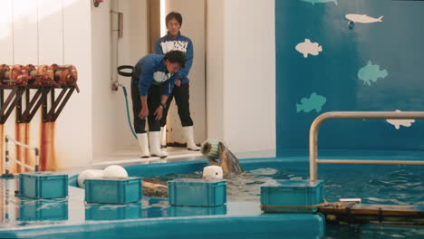 Dolphin-Trainers-Playing-With-A-Dolphin-At-Sendai-Umino-Mori-Aquarium-In-Japan---wide,-slow-motion