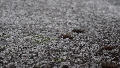 Bouncing-pellets-of-popcorn-hail-cover-the-ground,-sudden,-unexpected,-closeup