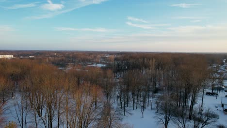 Eine-Luftaufnahme-Eines-Riesigen-Feldes-Mit-Kahlen-Bäumen-Und-Schilf-In-Einer-Schneebedeckten-Wintersumpflandschaft