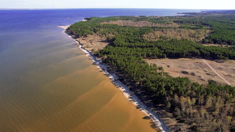 Aerial-Flying-Over-Coastline-At-Naglis-National-Park,-Curonian-Spit,-Lithuania