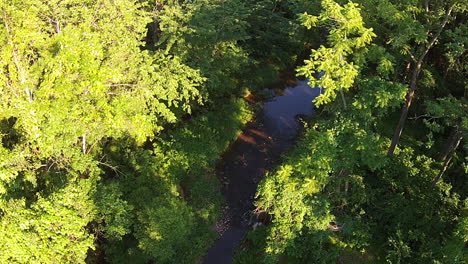 Aerial-view-of-trees-and-creek
