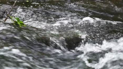 Wasser,-Das-über-Einen-Felsen-In-Einem-Fluss-Fließt