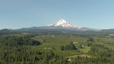 Aerial-View-of-American-Landscape-and-Green-Farm-Fields-with-Mount-Hood-in-the-background