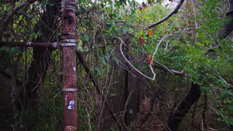 Wide-shot-of-a-rusty-chain-link-fence-pole-with-graffiti-along-hiking-trail