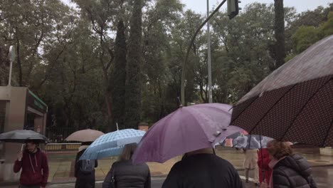 People-cross-street-with-umbrellas-in-rain,-slowmo-seen-from-behind