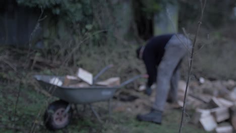 Hard-working-man-fills-wheelbarrow-with-logs