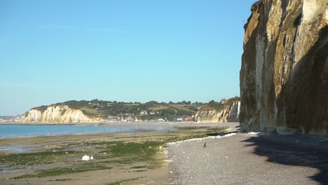 4k-Chalk-coast-at-Dieppe-in-normandy-at-low-tide,-france-2