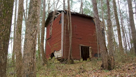 old-abandoned-tobacco-barn-in-the-woods