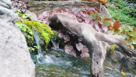Mini-Waterfall-Through-Moss-Into-a-Small-Stream