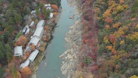 4k-Arashiyama-and-Katsura-river-with-Japanese-Shrine,-High-Aerial-View-in-Autumn-color