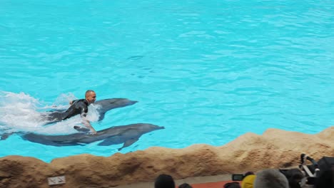 Dos-Delfines-Llevan-A-Un-Entrenador-De-Animales-En-Sus-Aletas-Durante-El-Espectáculo-De-Delfines-En-Loro-Parque,-Tenerife.