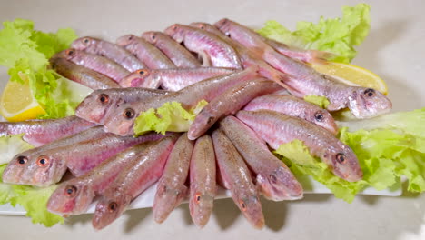 Roher-Meeräschenfisch-Auf-Weißem-Hintergrund
