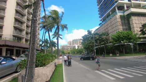People-walking-on-walking-path-with-palm-trees-in-Hawaii