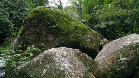 Revelando-Un-Hermoso-Río-Dentro-De-La-Selva-Tropical-Desde-Detrás-De-Una-Gran-Roca,-Movimiento-De-Cámara-Con-Plataforma-Rodante