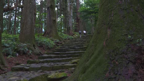 Pareja-Subiendo-Escaleras-Adoquinadas-De-Daimon-Zaka-En-El-Sendero-Kumano-Kodo