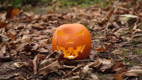 Halloween-spooky-grinning-pumpkin-face-and-autumn-foliage-leaves-moved-by-the-wind