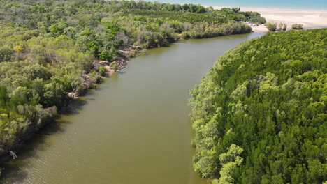 Low-drone-footage-of-Buffalo-Creek-Green-Bushland-with-River-near-Lee-Point-in-Darwin,-Northern-Territory