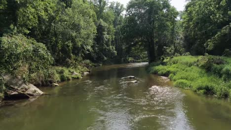Nothing-says-summertime-more-the-a-beautiful-shot-of-a-creek-surrounded-but-forrest