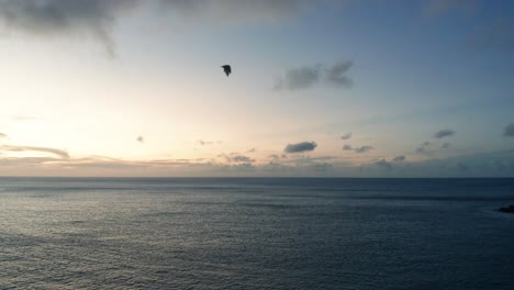 Aerial-of-a-large-bat-flying-through-air-during-dusk-over-Pacific-Ocean,-Fiji