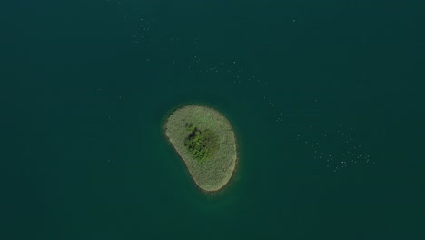 Kleine-üppige-Insel,-Umgeben-Von-Türkisblauem-Seewasser---Bacina-Seen-In-Dalmatien,-Kroatien---Luftaufnahme-Von-Oben-Nach-Unten