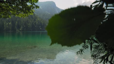 Kristallklares-Wasser-Des-Alpensees-Lago-Di-Tovel-In-Norditalien