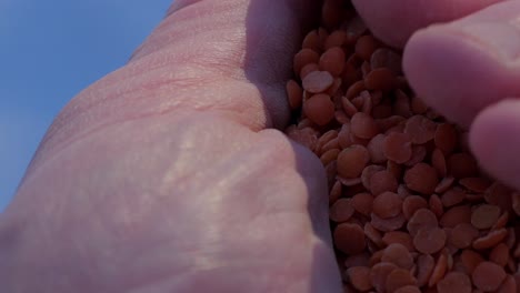 Cupped-hand-grabbing-and-squeezing-a-hand-full-of-red-lentils