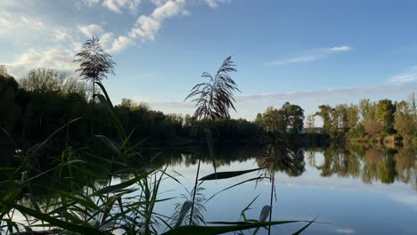 Reflective-pond-at-day,-pan-shot