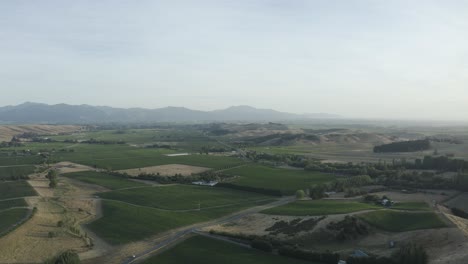 High-wide-overlook-of-Marlborough-vineyards-during-a-golden-afternoon