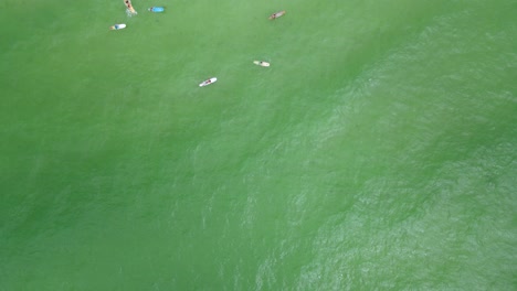 SUP---Group-of-Tourists-on-Paddleboards-on-Florida-Gulf-Coast-Beach---Drone-Overhead-Aerial-View