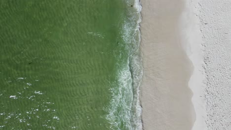 Escaping-the-World-Concept---Tropical-Sandy-Beach-on-Florida-Gulf-Coast---Aerial-Drone-Overhead-Birds-Eye-View