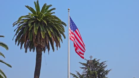 Slow-motion-of-american-flag-waving-in-wind-next-to-palm-tree-and-bright-blue-sky