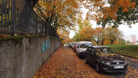 POV-Fußgänger-Gehen-Auf-Abgefallenen-Blättern-Auf-Dem-Gehweg,-Auf-Der-Straße-Geparkte-Autos