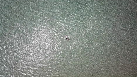 Aufsteigende-Luftaufnahme-Eines-Teenager-Mädchens,-Das-Im-Seichten-Wasser-Am-Strand-Liegt