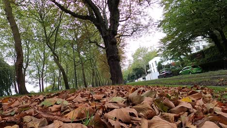 Timelapse-of-cars,-bikers,-pedestrians-and-trains-passing-by-during-rush-hour-and-grass-covered-with-colorful-autumn-fall-leaves