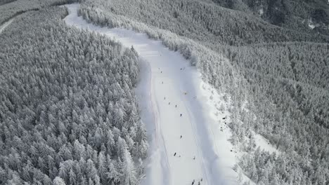 Aerial-shot-of-people-skiing-down-the-slope