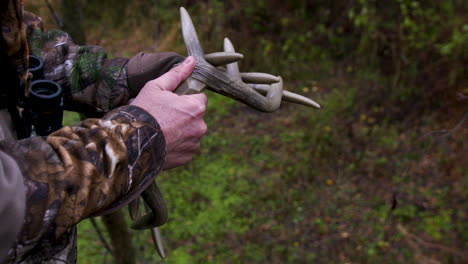 Rattling-horns-used-in-hunting