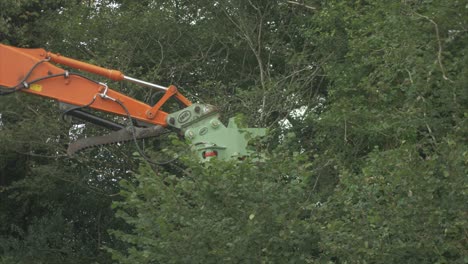 Tree-shear-attached-to-excavator-with-quick-coupler-moves-into-position