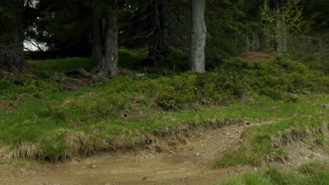 Mountain-biker-rides-through-deep-puddle-and-sprays-water-in-slow-motion