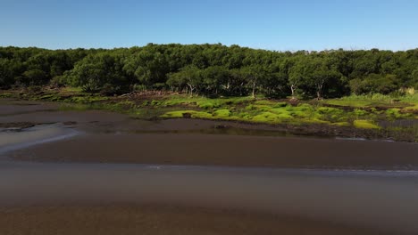 Drone-shot-of-sandy-swamps-and-trees-by-shore-of-Rio-de-la-Plata