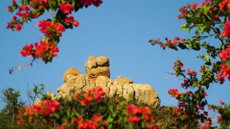 Majestätischer-Felsen-An-Der-Küste-Von-Hang-Rai-In-Vietnam,-Umgeben-Von-Roten-Blumen