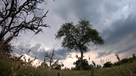 Atemberaubender-Zeitraffer-Des-Sonnenuntergangs-Mit-Wolken,-Die-über-Die-Afrikanische-Landschaft-Der-Bushveld-Savanne-Ziehen