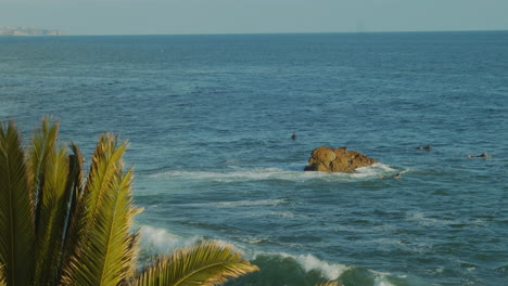 Surfer-Waten-Auf-Ihren-Surfbrettern-In-Die-Gewässer-Des-Pazifischen-Ozeans,-Um-An-Einem-Sonnigen-Tag-Vor-Der-Küste-Kaliforniens-Ein-Paar-Wellen-Zu-Erwischen
