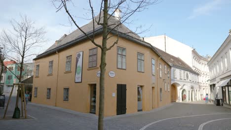 Vorderansicht-Des-Beethovenhauses-In-Baden-Bei-Wien-Mit-Baum-Davor