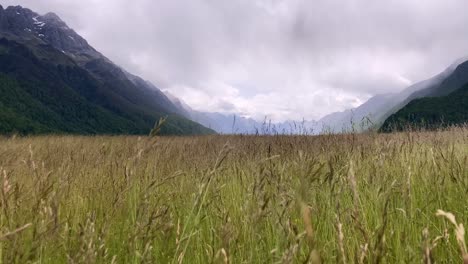 Beautiful-grass-meadows-of-Fiordland,-New-Zealand--slowmo