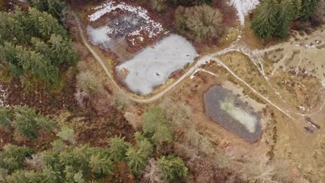 Turning-drone-shot-of-frozen-lakes-in-a-forest-scenery-at-wintertime-with-no-person-landscape-view