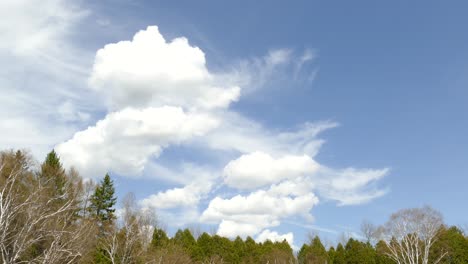 cumulus-clouds-being-formed-and-blown-by-the-wind-in-a-blue-sky,-over-forest-area