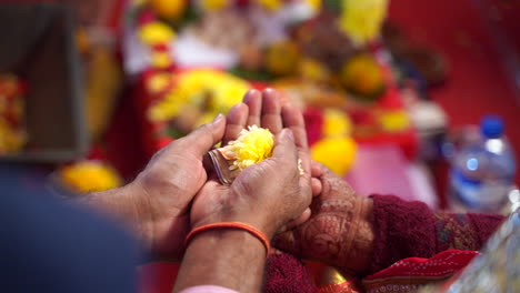 Vista-De-Cerca-De-Las-Manos-De-Dos-Personas-Sosteniendo-Pétalos-De-Flores-Durante-La-Ceremonia-Religiosa-En-India,-Asia