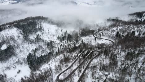 Aerial-tilt-up-road-between-snow-pine-trees-mountain-range-winter-day